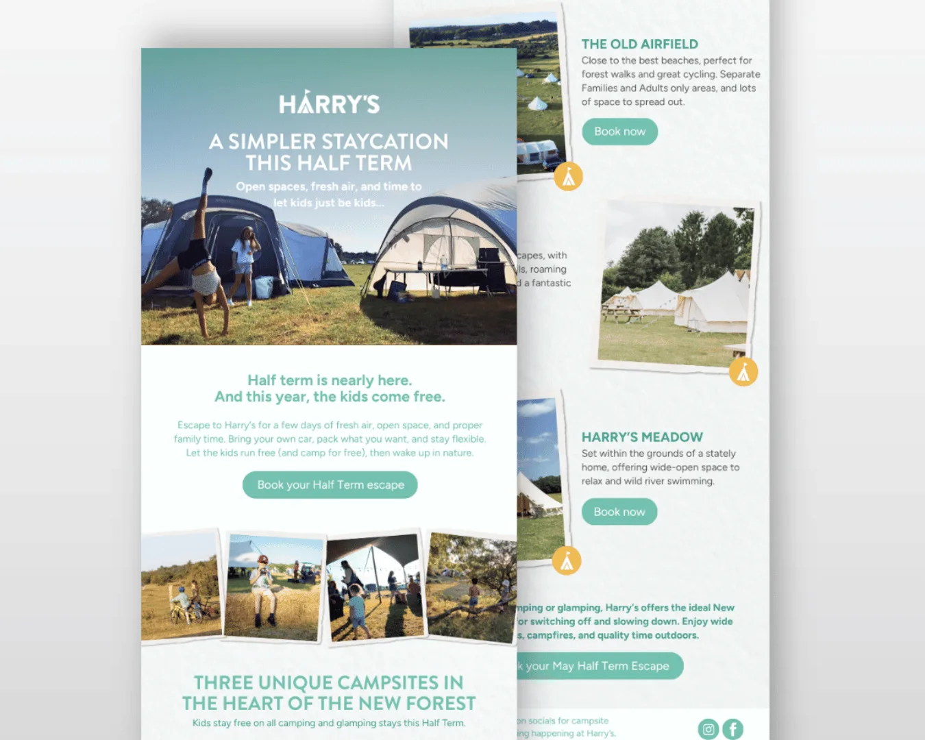 Harry's Campsite kids come free email design
